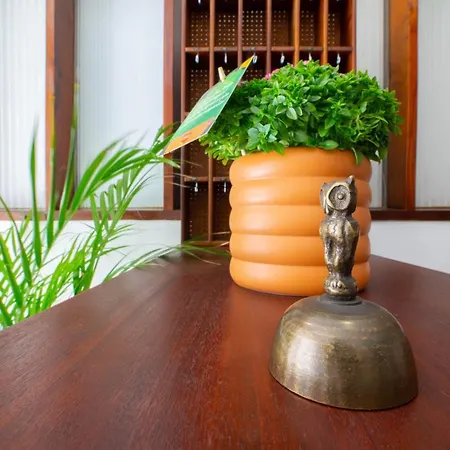 Terra Linda فندق فيانا دو كاستيلو