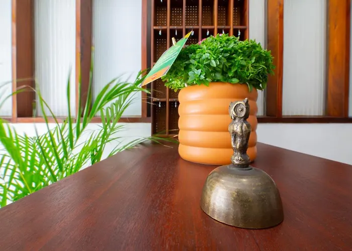 Terra Linda Hotel Viana do Castelo